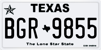 TX license plate BGR9855