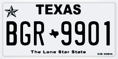 TX license plate BGR9901