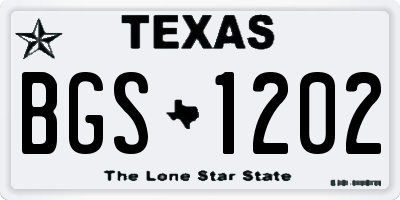 TX license plate BGS1202