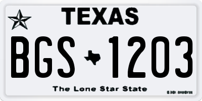 TX license plate BGS1203