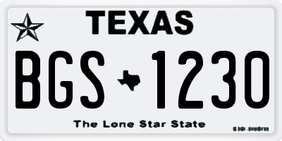 TX license plate BGS1230
