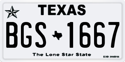 TX license plate BGS1667