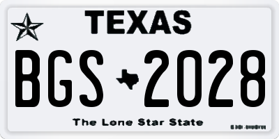TX license plate BGS2028