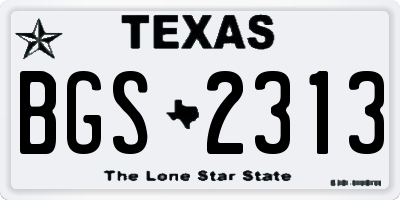 TX license plate BGS2313