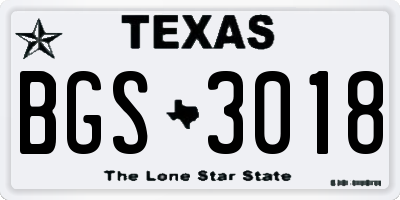 TX license plate BGS3018