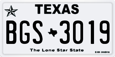 TX license plate BGS3019
