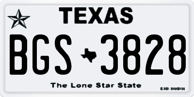 TX license plate BGS3828