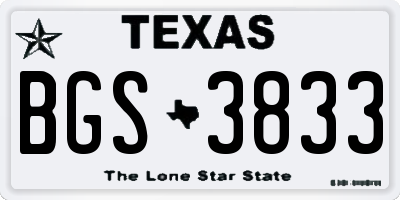 TX license plate BGS3833