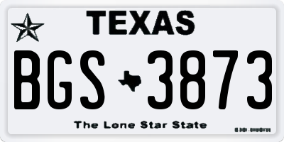 TX license plate BGS3873