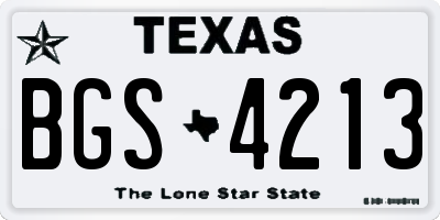 TX license plate BGS4213