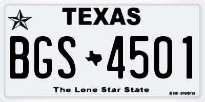 TX license plate BGS4501