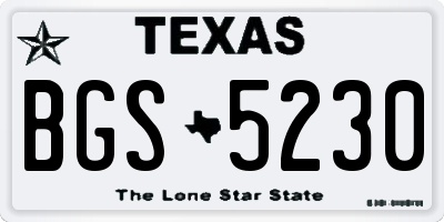 TX license plate BGS5230