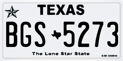 TX license plate BGS5273