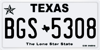 TX license plate BGS5308