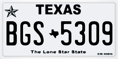 TX license plate BGS5309