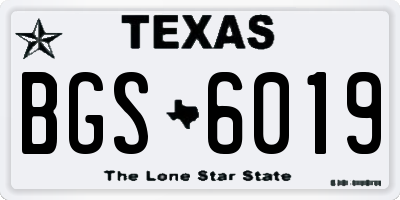 TX license plate BGS6019
