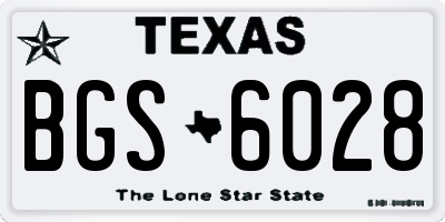 TX license plate BGS6028