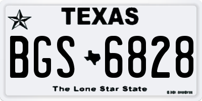 TX license plate BGS6828