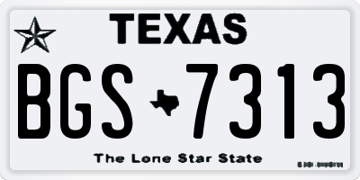 TX license plate BGS7313