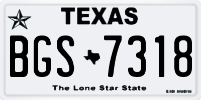 TX license plate BGS7318