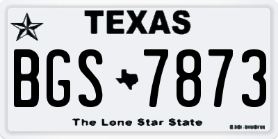 TX license plate BGS7873