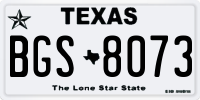 TX license plate BGS8073