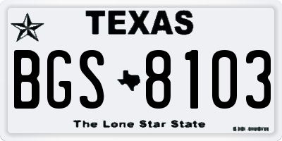 TX license plate BGS8103