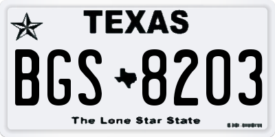 TX license plate BGS8203