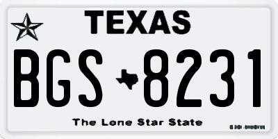 TX license plate BGS8231