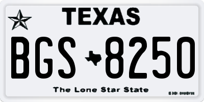 TX license plate BGS8250