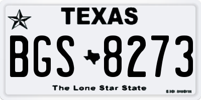 TX license plate BGS8273