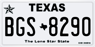 TX license plate BGS8290