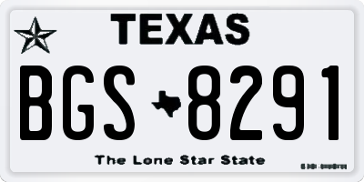 TX license plate BGS8291