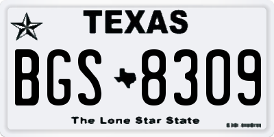 TX license plate BGS8309