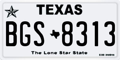 TX license plate BGS8313
