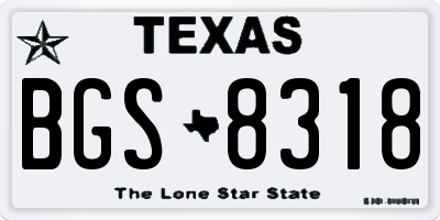 TX license plate BGS8318