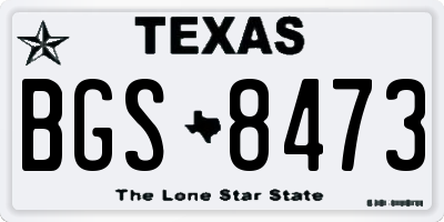 TX license plate BGS8473