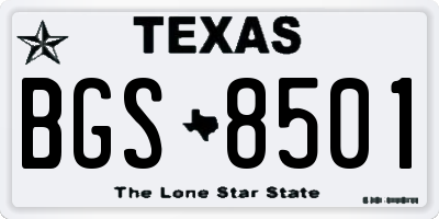 TX license plate BGS8501
