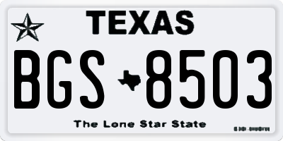 TX license plate BGS8503