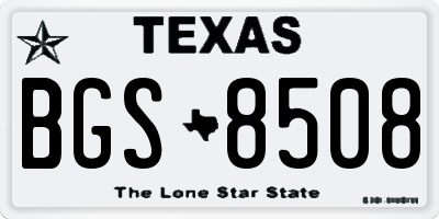 TX license plate BGS8508