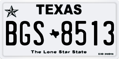 TX license plate BGS8513