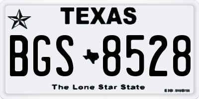 TX license plate BGS8528