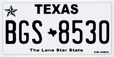 TX license plate BGS8530