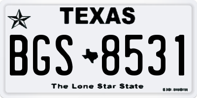 TX license plate BGS8531