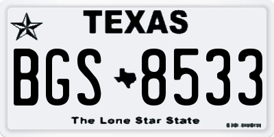 TX license plate BGS8533