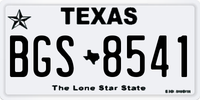 TX license plate BGS8541