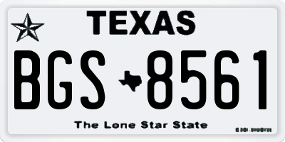 TX license plate BGS8561