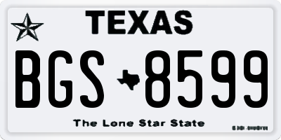 TX license plate BGS8599