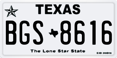 TX license plate BGS8616