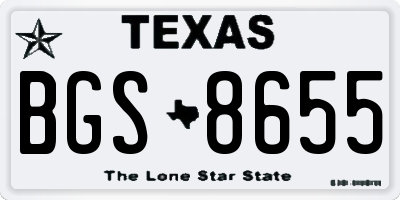 TX license plate BGS8655